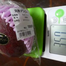 購入したマンゴー