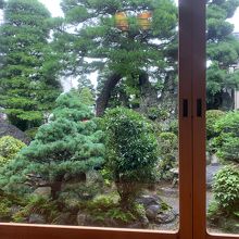 店内から見たお庭です。