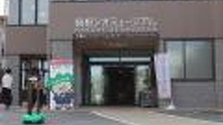 ジオミュージアム