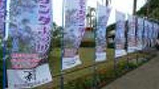 近年有名に。週末は駐車場からシャトルバスです。