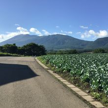 浅間山方面とキャベツ畑です。