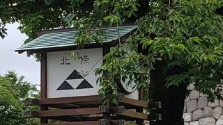 お花も見どころ