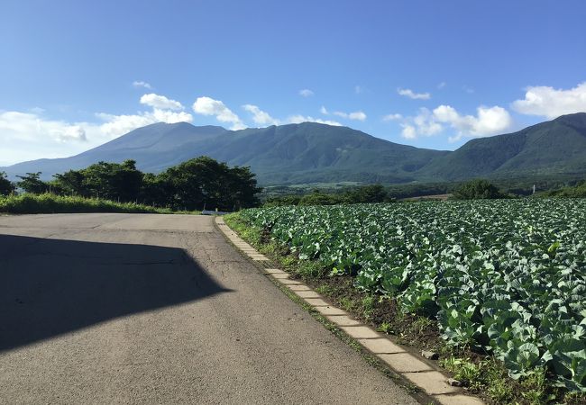 　迂回路になり通過してみました。