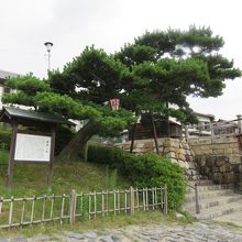 やりこかしって好かんなあ