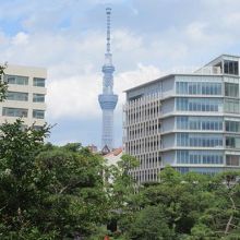 スカイツリーも