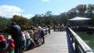 地元の方たちの憩いの公園ですね。