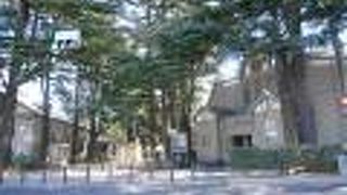 旧制松本高校のセンスが光ります。