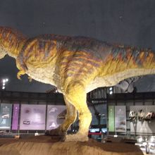 動きが激しい肉食恐竜模型の撮影は、ストロボ無しでは難しい