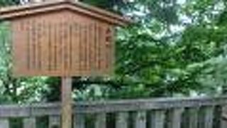 白山比神社付近では、崖下に、その急流を垣間見ることができる。