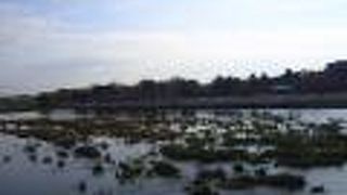 嵐山の周辺を流れる河川