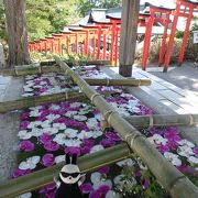 花手水で参拝客をおもてなし（８月お盆頃まで実施）