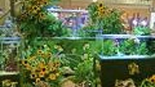 便利でオシャレな大型ショッピングモール