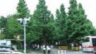 日吉駅東口の目の前