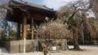 今鳴るは芝か上野か浅草か