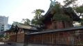 参拝客も少なく落ち着いた雰囲気でした