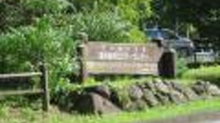 無料の展示施設