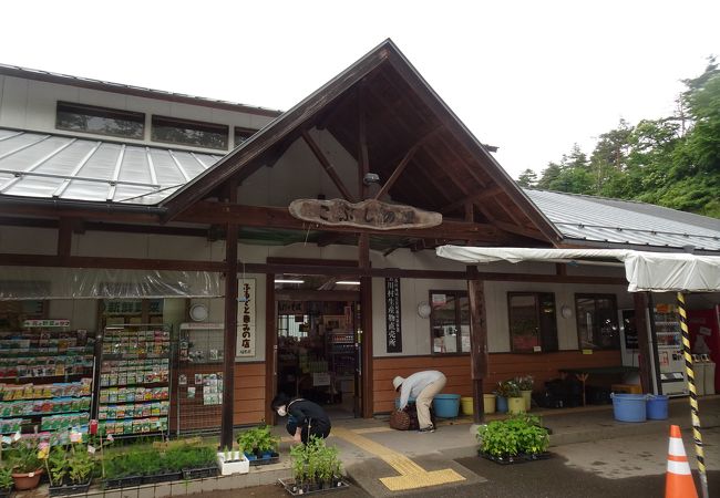 しぼりトマトがある道の駅 （道の駅 たまかわ こぶしの里）