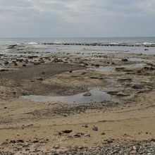 遠く広がる浜