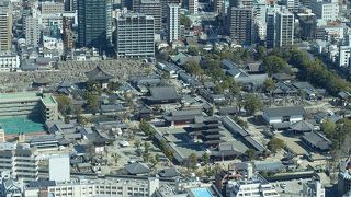 境内全体を見渡せました