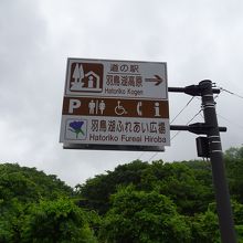 国道294号線沿いにあります