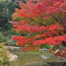 池泉回遊式の庭園