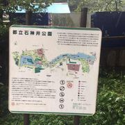 自然豊かな池のある公園