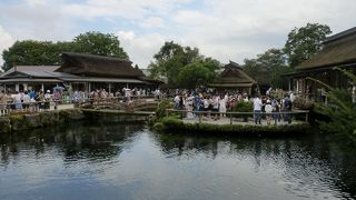 池が8個あります