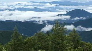 大規模な駐車場