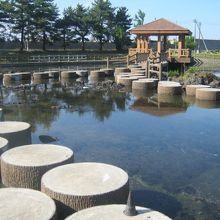 二見岩を配した池には飛び石も設置されていて散策にも最適！