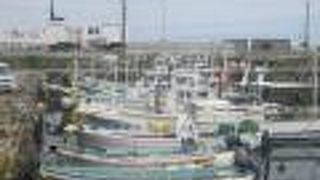 フェリーターミナルのすぐ傍が漁港になっています