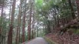 岩国城より感動