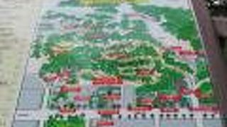 山全体に詰っています