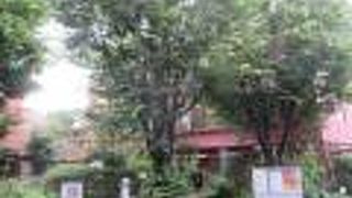 企画展も見てきました