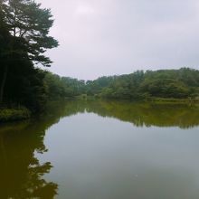池を中心にした16ｈａほどの公園