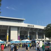 ラグビーW杯！