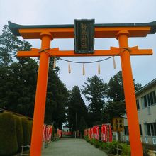 裏参道の鳥居