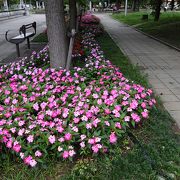 四季の花が綺麗　ハイキングなどコロナ禍避難場所にも