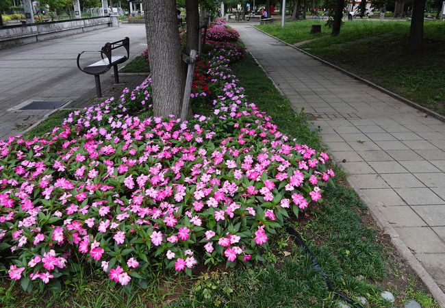 四季の花が綺麗　ハイキングなどコロナ禍避難場所にも