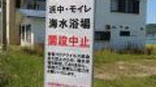 遊泳禁止のはずが。