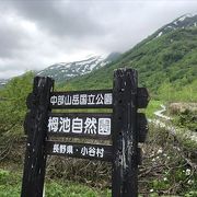 6月に行きました、ちょうど水芭蕉がきれいに咲いてる時期でした。自然園への入り口すぐに一面の水芭蕉が咲き誇っていました、とてもきれいでした。