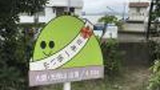 今度こそ、初登頂天保山へ