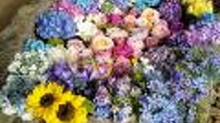 花手水がきれいな「発寒神社」