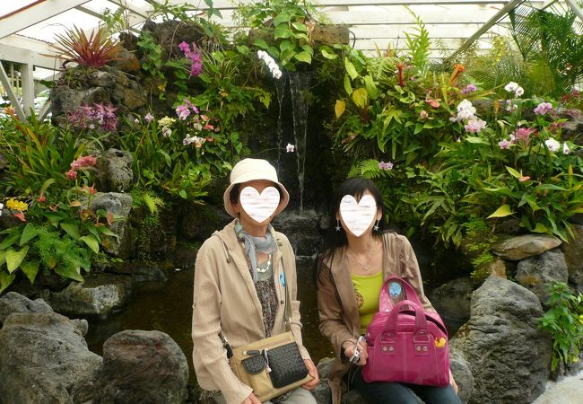 ハワイ語の「ナニマウ」とは「永遠の美しさ」という意味の植物園をツアーのランチタイムに訪れました!!