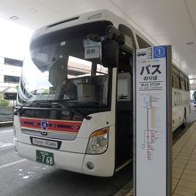 「カリー観光」は現在、沖縄本島北部行きは運休中。