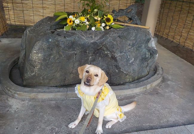 厚別神社 クチコミ アクセス 営業時間 厚別 豊平 真駒内 フォートラベル 厚別神社 クチコミ アクセス 営業時間 厚別 豊平 真駒内 フォートラベル