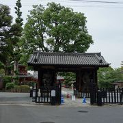 広い境内を有する立派なお寺でした