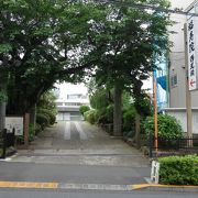 見ごたえある荘厳なご本堂を有する寺院