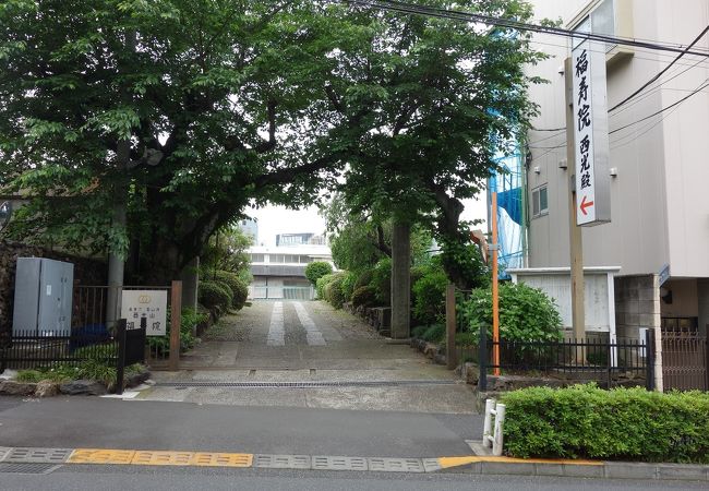 見ごたえある荘厳なご本堂を有する寺院