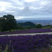 幌見峠