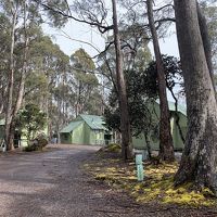 キャンピンググラウンド